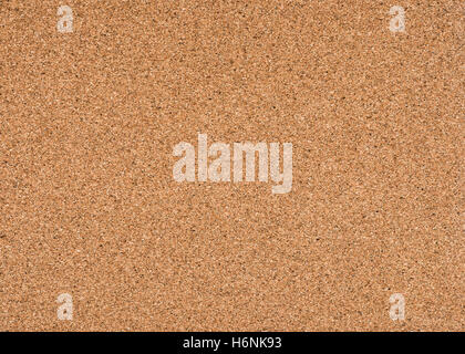 Panneau de liège sans cadre Banque D'Images