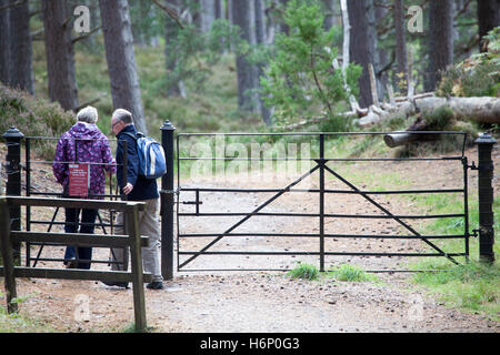 Les promeneurs marchant à travers la porte fermée sur le chemin les contours Loch an Eilein sur le domaine de Rothiemurchus, Ecosse Banque D'Images