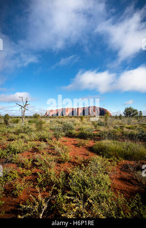 Nuages sur Uluru tôt le matin Banque D'Images