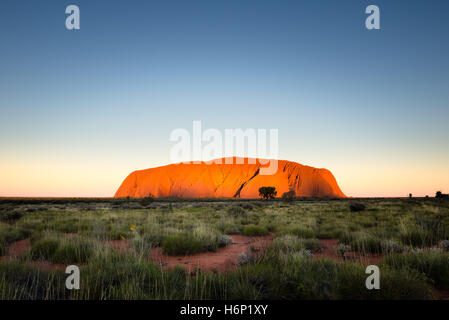 Coucher du soleil sur Uluru sous un ciel clair Banque D'Images