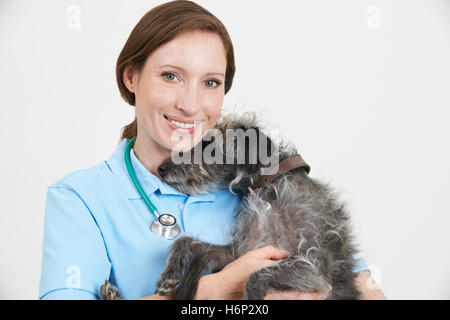 Studio Portrait de femme Vétérinaire Lurcher Holding Dog Banque D'Images