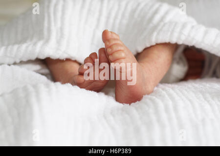 pieds de bébé 3 Banque D'Images