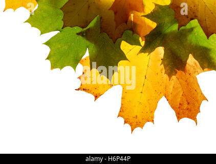 Objets isolés Banque D'Images