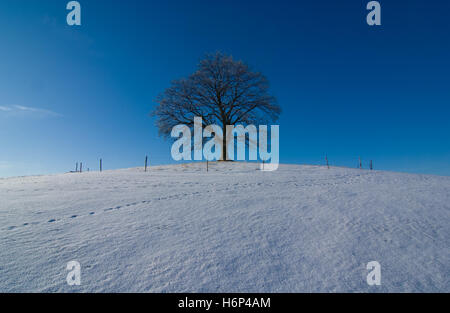 paysages Banque D'Images