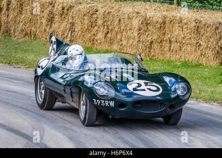 1956 Jaguar D-type Long-Nose 'Le Mans' arrivant au Goodwood Festival of Speed 2016, Sussex, UK. Banque D'Images