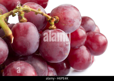 Bouquet de raisin rouge sur la surface blanche. Banque D'Images