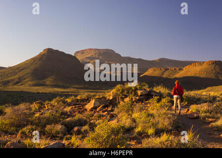 Balades touristiques sur sentier balisé dans le parc national du Karoo, Afrique du Sud. Tableau panoramique les montagnes, les canyons et les falaises au coucher du soleil. Banque D'Images