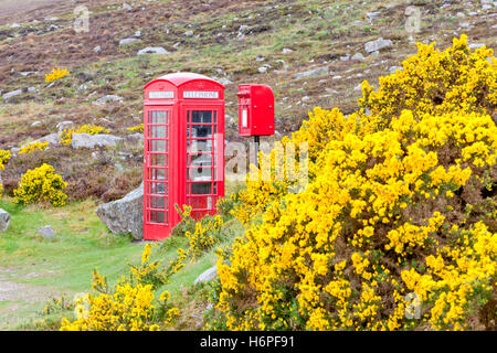 Boîte de téléphone cabine téléphonique phonebooth cabine téléphonique téléphone téléphone europe printemps flore bouncing bounces hop sautant Banque D'Images