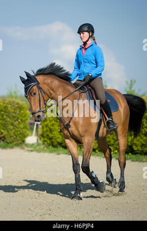 Printemps des chevaux du carrousel rebondit rebondissant saut saut saut saut par palpation l'équitation femme temps libre temps libre Temps libre Loisirs Banque D'Images