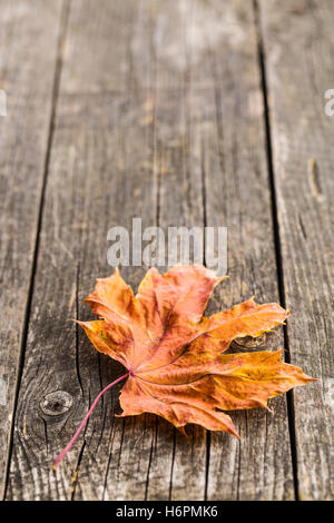 Feuille d'automne sur la vieille table en bois. Banque D'Images