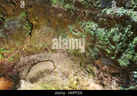 Grotte volcanique galerie dans l'île de Terceira. Açores. Algar do Carvao. Portugal Banque D'Images