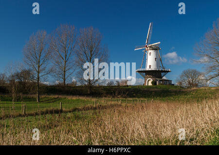 Moulin Blanc à Veere debout dans la lumière du soleil d'hiver sous des polders. Banque D'Images