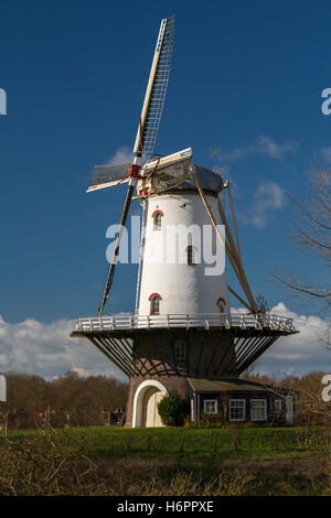 Moulin Blanc à Veere debout sur la digue en hiver la lumière du soleil. Banque D'Images