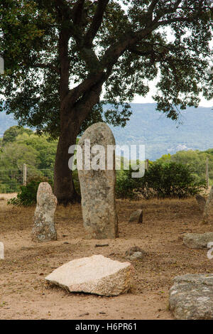 L'alignement de menhirs de Renaggiu, dans le site mégalithique de Cauria, Sartene, Corse, France Banque D'Images