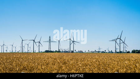 Allemagne, Schleswig-Holstein, parc éolien près de Wesselburen, Dithmarschen a plus grande densité d'éoliennes en Allemagne Banque D'Images