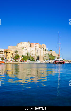 Scène de la citadelle et le port de plaisance de Calvi, La Balagne, Corse, France Banque D'Images