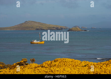 Bateau de pêche à l'ancre dans la baie de l'île de la carcasse dans les îles Falkland. Banque D'Images