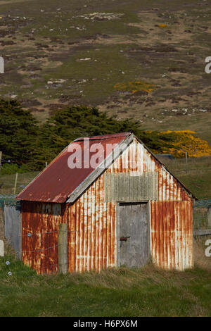 Les bâtiments de ferme au Règlement de l'île de la carcasse dans les îles Falkland. Banque D'Images