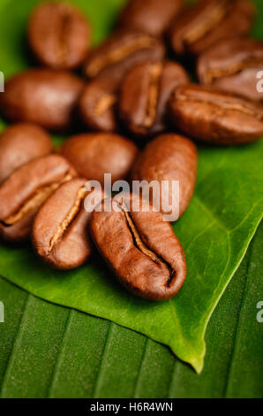 Les grains de café bio commerce équitable sur une feuille verte. Banque D'Images