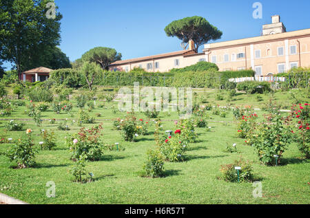 Le jardin de roses à Rome Italie Banque D'Images