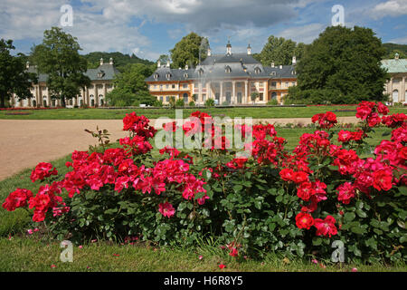 Saxe Dresde jardin jardin d'agrément Gardens Bed of roses chambre bâtiment ville ville parc jardin fleur fleurs flore plante Banque D'Images