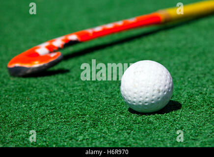 Jeu de sport sport jeu de tournoi jouer joue joué sol humus du sol terre terrain été summerly hockey championship Banque D'Images