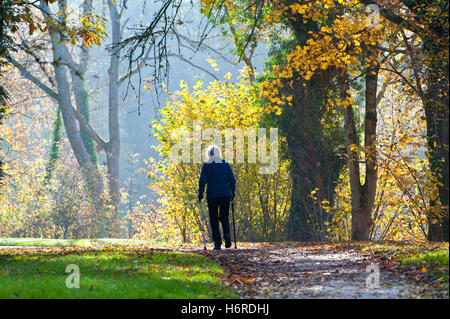 Builth Wells, Powys, Wales, UK. 31 octobre, 2016. Couleurs d'automne sont vus le long des rives de la rivière Irfon à Builth Wells, Powys, Pays de Galles, au Royaume-Uni. Credit : Graham M. Lawrence/Alamy Live News. Banque D'Images