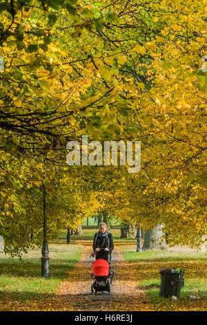 Londres, Royaume-Uni. 31 octobre, 2016. Les familles, les promeneurs de chiens, les joggeurs et les cyclistes profitez d'une journée sur Clapham Common comme les feuilles d'automne sur les arbres deviennent jaunes et orange. 31 oct 2016 Bell Crédit : Guy/Alamy Live News Banque D'Images