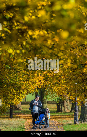 Londres, Royaume-Uni. 31 octobre, 2016. Les familles, les promeneurs de chiens, les joggeurs et les cyclistes profitez d'une journée sur Clapham Common comme les feuilles d'automne sur les arbres deviennent jaunes et orange. 31 oct 2016 Bell Crédit : Guy/Alamy Live News Banque D'Images