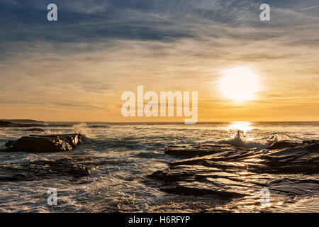 Météo France : Booby's Bay Sunset sur la marée haute. 31 octobre 2016. Riche or Soir, roulant dans les vagues scintillantes sur un ressort de la marée haute. Banque D'Images