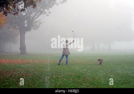 Londres, Royaume-Uni. 1er novembre 2016. Matin brumeux sur Wandsworth Common. Credit : JOHNNY ARMSTEAD/Alamy Live News Banque D'Images