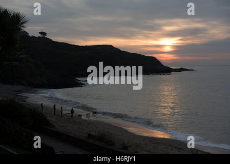 Swansea, Royaume-Uni. 06Th Nov, 2016. 1er novembre 2016 - Tôt le matin, les promeneurs avec leurs chiens sur la plage de Langland Bay près de Swansea au début d'un beau matin d'automne. Credit : Phil Rees/Alamy Live News Banque D'Images