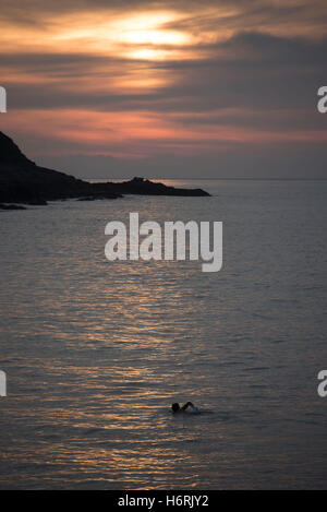 Swansea, Royaume-Uni. 06Th Nov, 2016. 1er novembre 2016 - un brave nageur (sans combinaison) exploite au maximum les conditions calmes à Langland Bay près de Swansea au début d'un beau matin d'automne. Credit : Phil Rees/Alamy Live News Banque D'Images