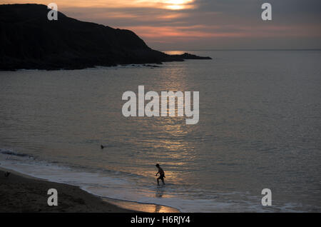 Swansea, Royaume-Uni. 06Th Nov, 2016. 1er novembre 2016 - un brave nageur (sans combinaison) quitte l'eau après avoir fait les la plupart des conditions calmes à Langland Bay près de Swansea au début d'un beau matin d'automne. Credit : Phil Rees/Alamy Live News Banque D'Images