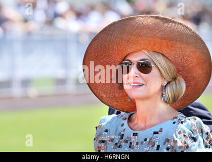 Perth, Australie. 06Th Nov, 2016. Perth, 01-11-2016 La Reine Máxima visite de la coupe à l'Mebourne Ascot Racecourse 2e jour de la 5-jours Statevisit à l'Australie de Sa Majesté le Roi Willem-Alexander et SA MAJESTÉ LA REINE Máxima Photo : PRE/Albert Nieboer /Point de vue Out/aucun service de fil/dpa/Alamy Live News Banque D'Images