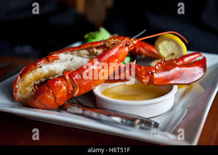 homard grillé Banque D'Images