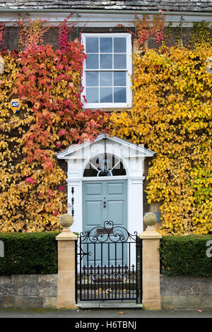 Virginia creeper / ivy américain et de l'escalade l'Hydrangea sur une maison de Broadway, Cotswolds, Worcestershire, Angleterre. Banque D'Images