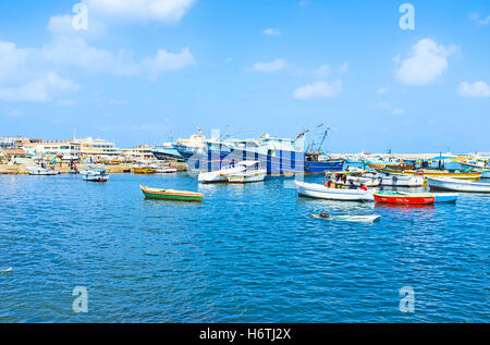 De nombreux petits bateaux de pêche et de grands chalutiers amarrés au port de pêche à côté du marché aux poissons à Alexandrie, Egypte. Banque D'Images