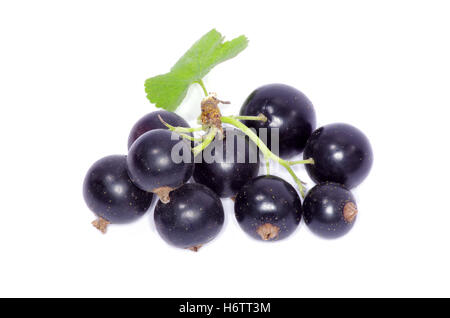 Feuille d'aliment Aliments vitamines vitamines isolées basané noir deep black jetblack Direction générale de la récolte de fruits juteux délicatesse de queue Banque D'Images