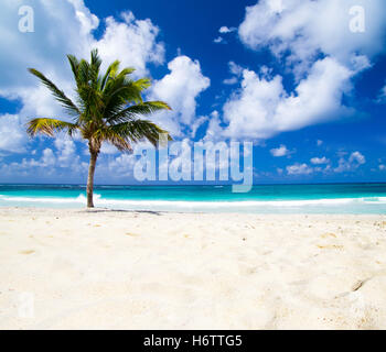 Blue belle beauteously nice voyage arbre maison de vacances locations de vacances vacances tourisme paradis ciel brille brille Banque D'Images