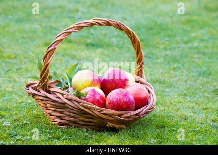 Fruits Légumes Banque D'Images