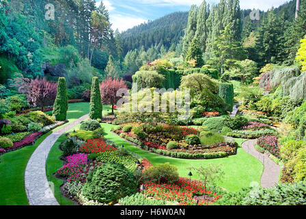 plantes fleurs Banque D'Images