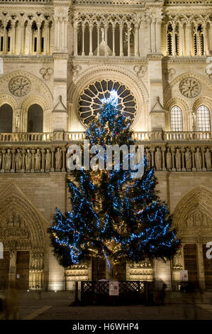 Arbre de Noël au pied de la Basilique de Notre-Dame, photo de nuit, Paris, France, Europe Banque D'Images