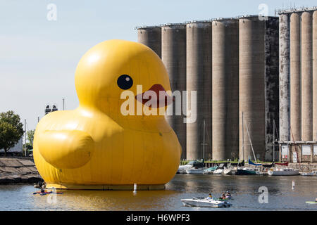 Canard en caoutchouc géant en face de silos à grain, Buffalo, New York waterfront port. Banque D'Images