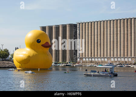 Canard en caoutchouc géant en face de silos à grain, Buffalo, New York waterfront port. Banque D'Images