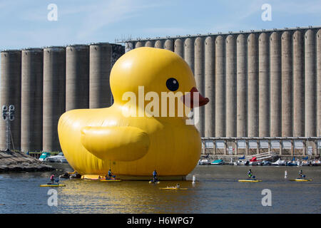 61 pieds de canard en caoutchouc jaune géant devant les silos à grains (Buffalo District à canal) Banque D'Images