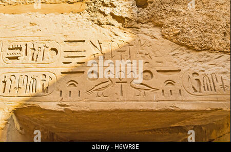 Les anciens hiéroglyphes sur la porte de Temple de Ramsès III, : Ankh (croix égyptienne), des oies, des moustiques, Temple de Karnak Banque D'Images