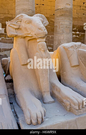 Le Bélier dirigé Sphinx de la grande cour avec la petite statue de Maman sous sa tête, Temple de Karnak, Louxor, Egypte. Banque D'Images