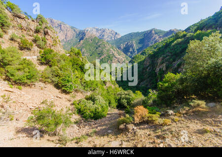 Vue sur les gorges de Spelunca, en Corse, France Banque D'Images