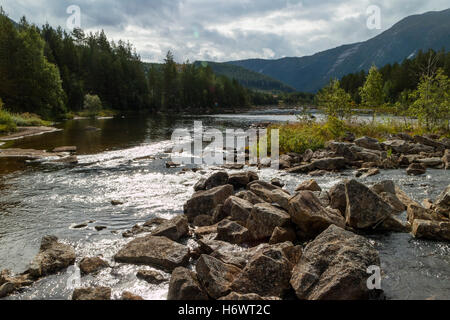 Dans la rivière Otra, Setesdal Norvège Banque D'Images